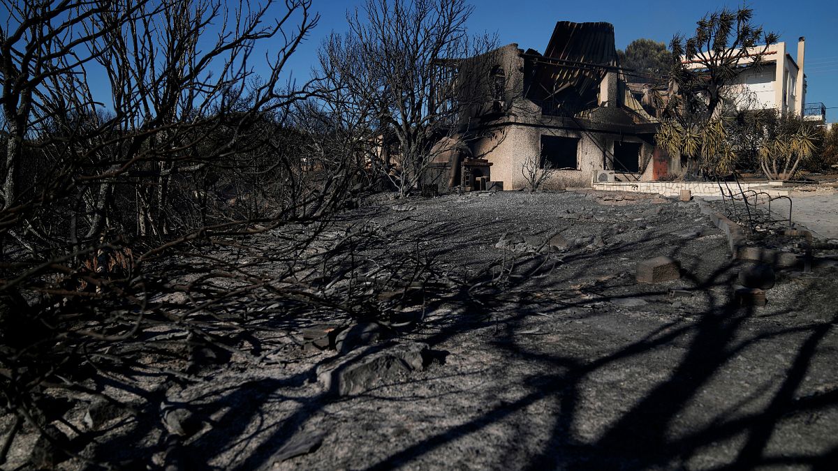 Grèce : scènes de dévastation après un vaste incendie dans la région de Paleá Fókea