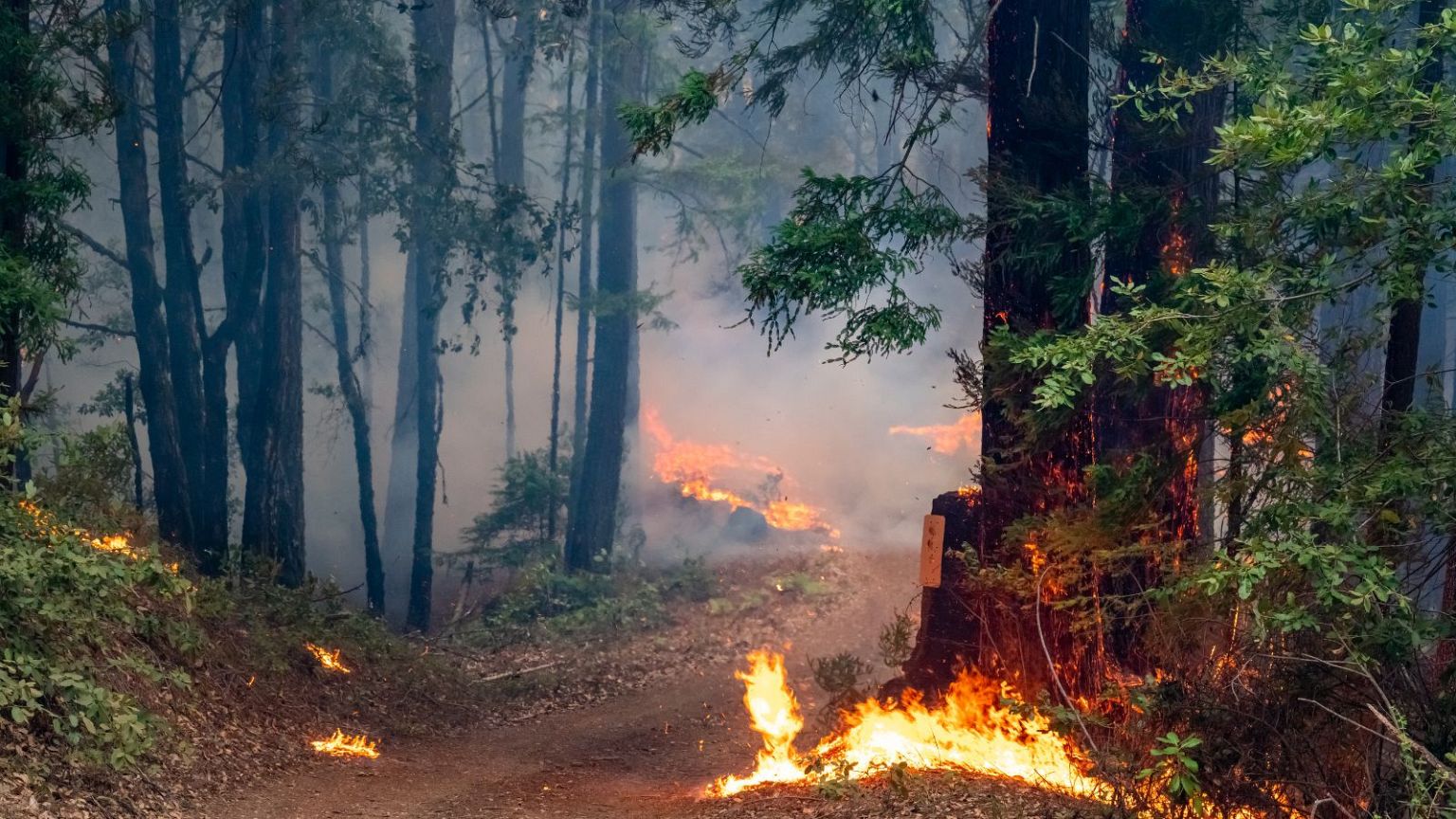 آتشسوزی جنگلی