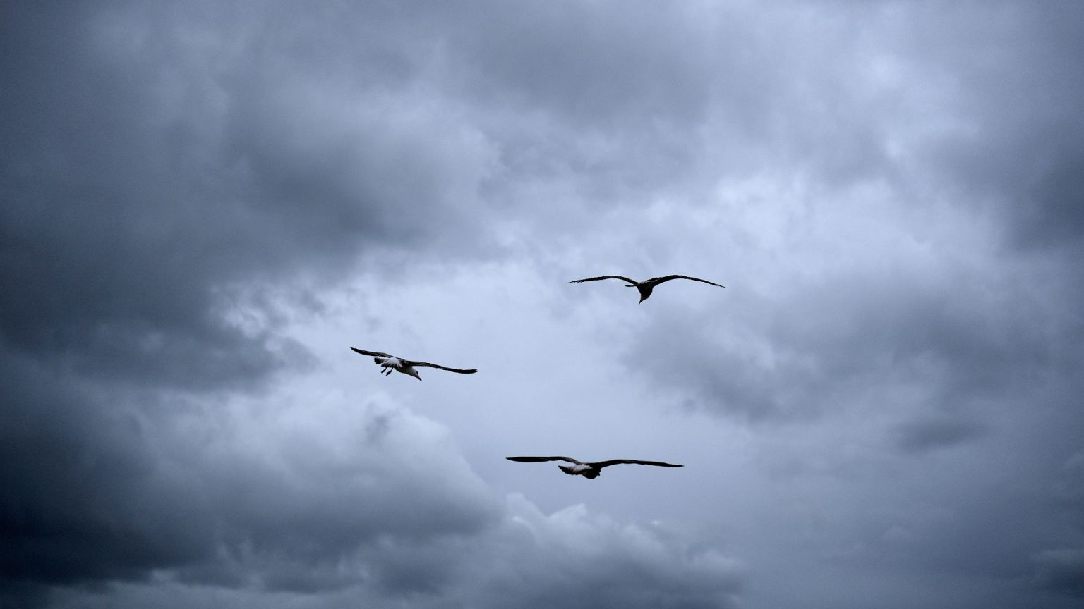A lot of heat and more: meteorological phenomena plague Portuguese territory