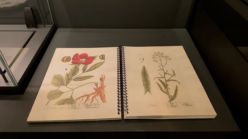 Un jardín no es sólo geometría y estética, también es un organismo vivo.