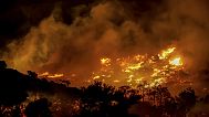 Fire burns in the Ahlia area near the port town of Ierapetra on the south coast of Crete island, Greece, late Wednesday, July 2, 2025