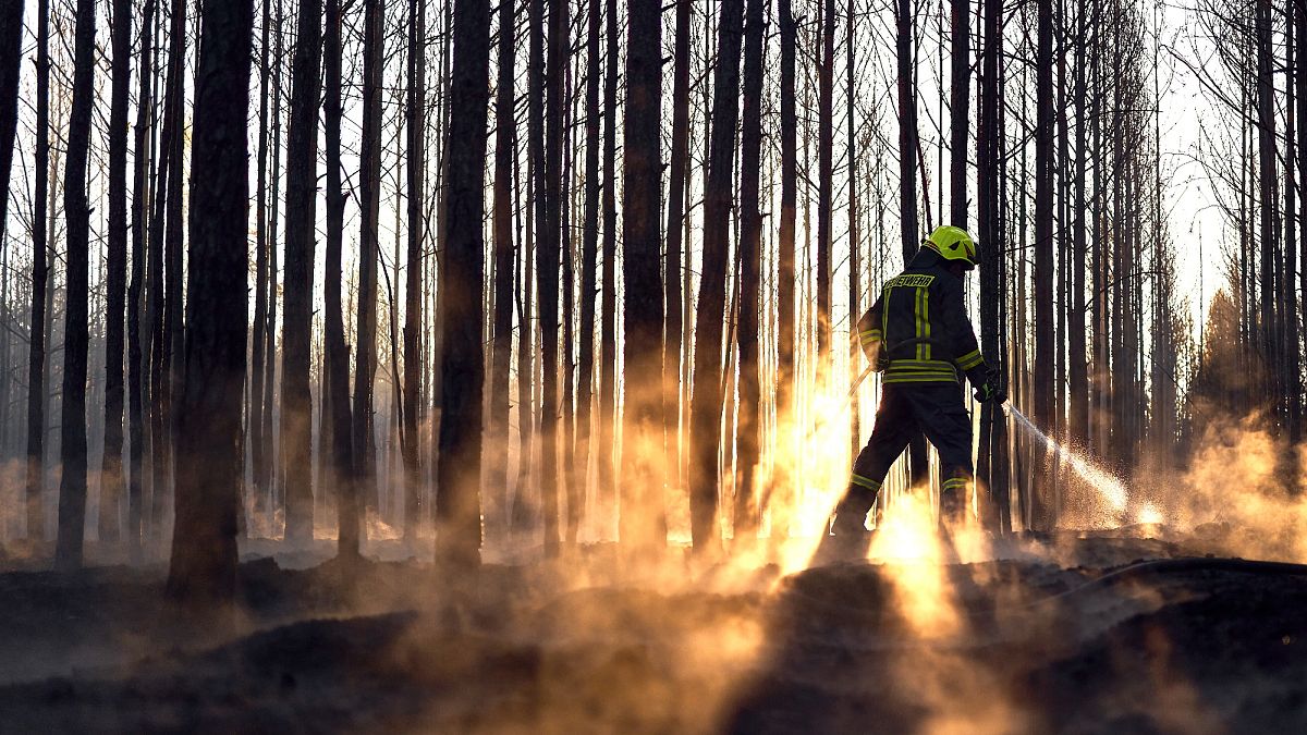 Forest fire on 200 hectares in Saxony: Several towns evacuated