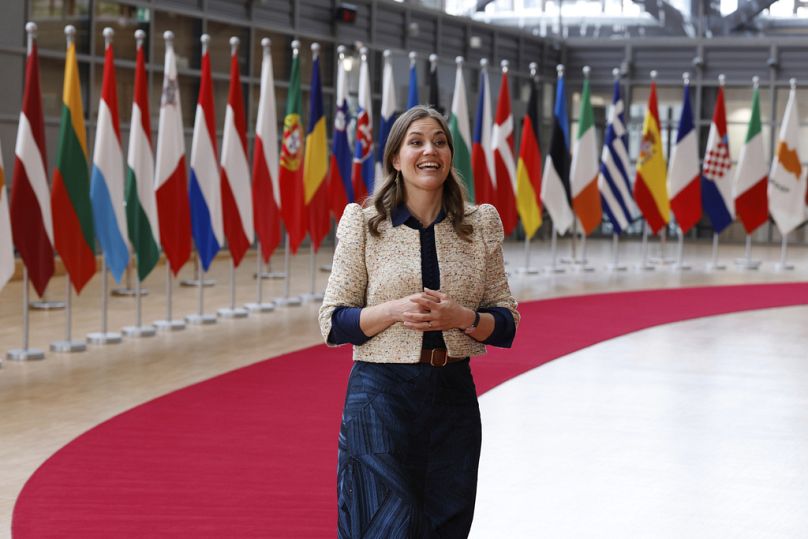 Marie Bjerre, Dáia uniós minisztere