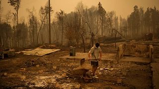 Yeremy Escanilla works on cleaning the debris of the remains of his house, destroyed by wildfires in Santa Juana, Chile in 2023.
