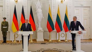 German President Steinmeier and Lithuanian President Nausėda.