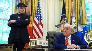 Musk Trump