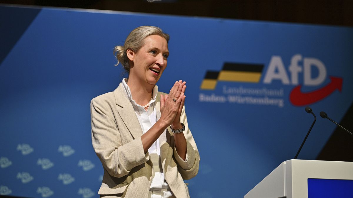Germany's AfD accuses Chancellor Merz of election fraud as it bids to reform image