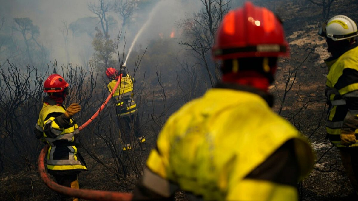 Incendie près de Narbonne : 2 000 hectares de forêt touchés