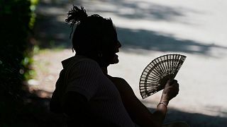 A person rests in the Retiro park in Madrid, 28 June, the city estimated to have suffered the highest proportion of climate-related deaths in the rapid study,