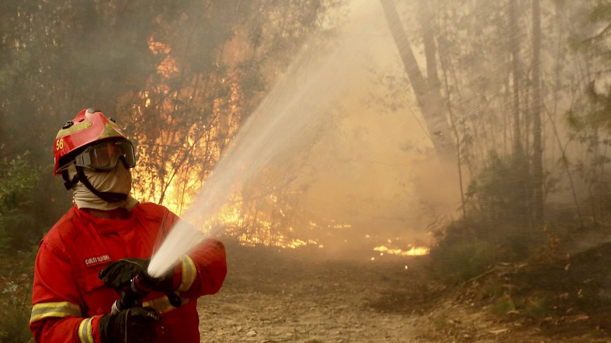 Incendies au Portugal : les avions Canadair en provenance du Maroc sont arrivés en aide