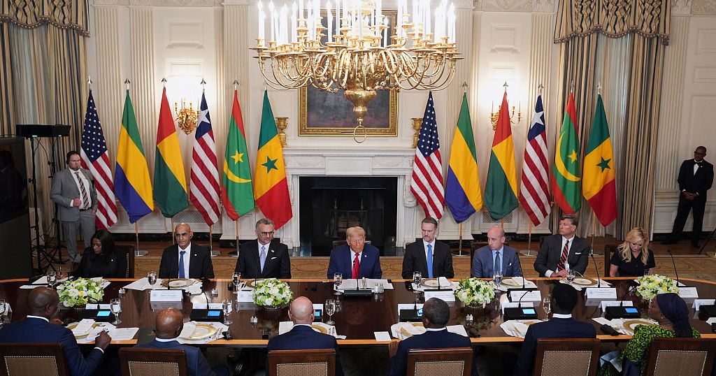 "Great economic potential in Africa": five African leaders have lunch with Trump