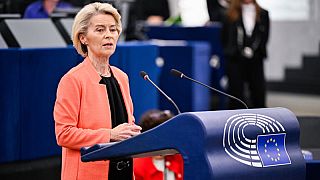 Ursula von der Leyen leads the European Commission since 2019