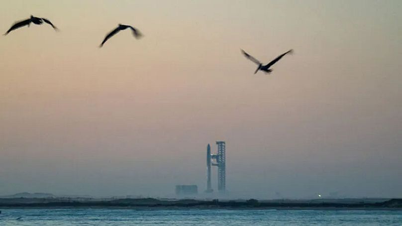 Madarak a SpaceX texasi kilövőbázisának környékén