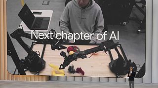 The AI Act in general entered into force in 2024 but will apply gradually. 