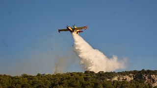 A firefighting airplane drops water as a wildfire burns in Rafina, east of Athens, Greece, Thursday, July 3, 2025, with several houses destroyed from the fire in the area.