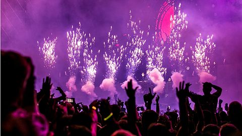Revellers enjoy a DJ and fireworks