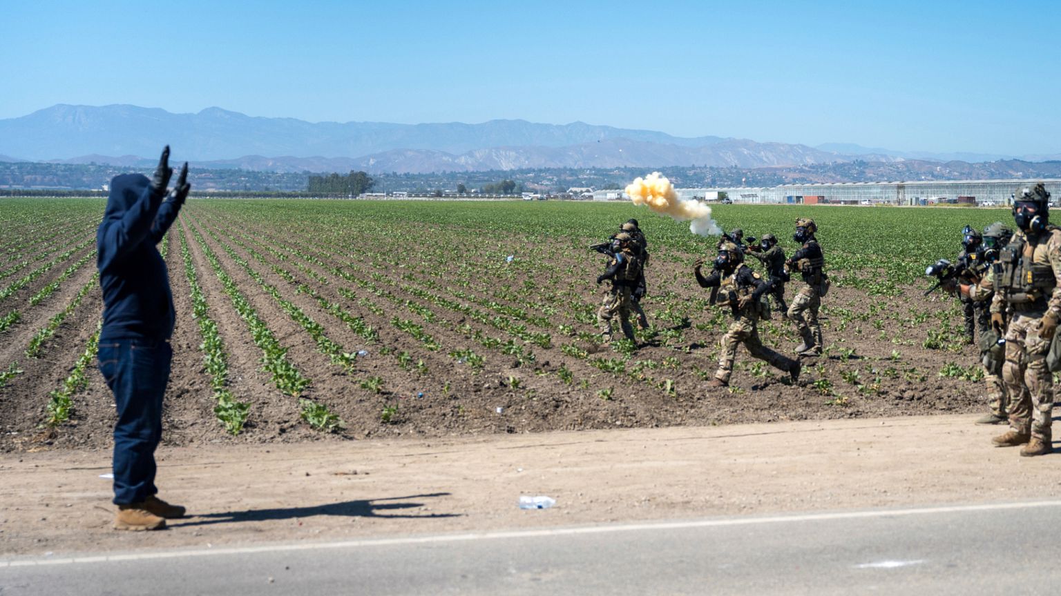 Una juez prohíbe las detenciones y redadas migratorias racializadas en  California | Euronews