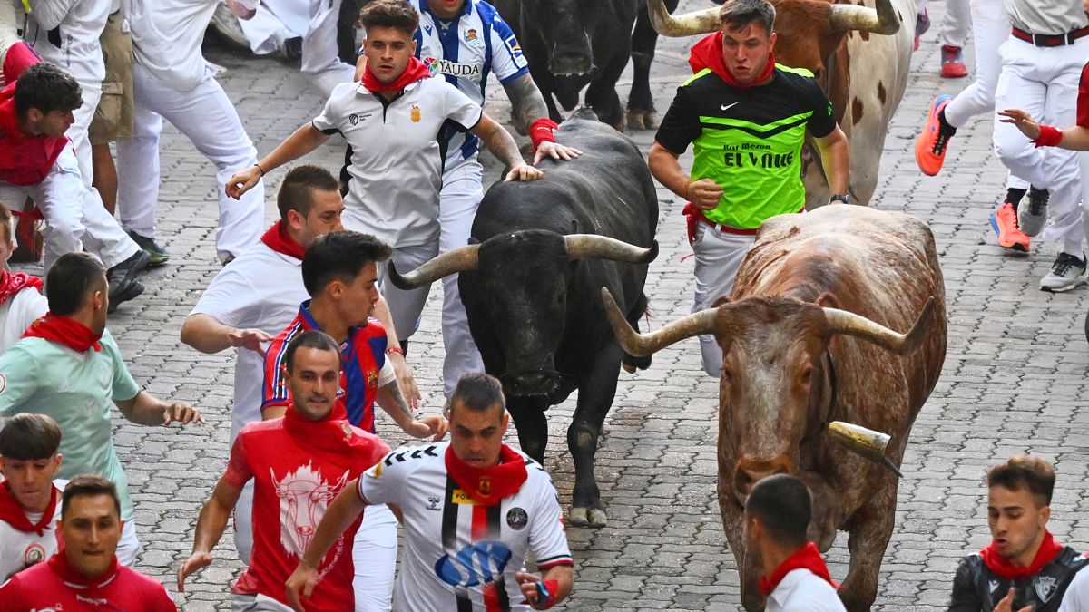 Four injured in final bull run of San Fermín Festival in Pamplona