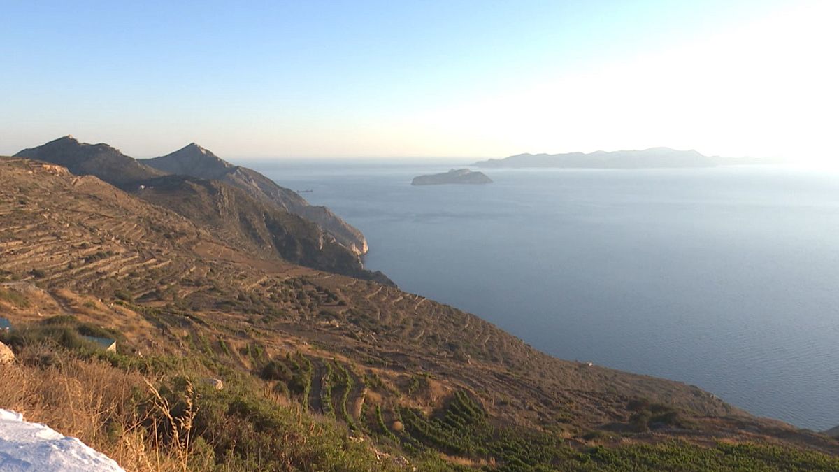 Grèce : le vignoble de l'île de Sikinos remet au goût du jour des cépages d'exception