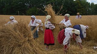 Russie-ONU : pas de prolongation du mémorandum sur les produits agricoles