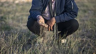 Morocco’s oases struggle to survive amid growing desertification
