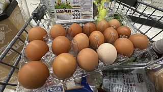  Los huevos se sientan en un contenedor en un carrito de compras en la tienda de comestibles, el lunes 27 de enero de 2025, en Windham, Maine. 