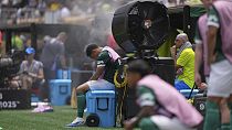 Football : comment adapter la Coupe du Monde au réchauffement climatique ?
