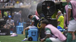 Football : comment adapter la Coupe du Monde au réchauffement climatique ?