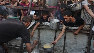 Crise à Gaza :  la rapporteuse de l'ONU attend des actions mondiales