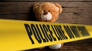 Not beary funny: Teddy bear artwork made from fake human skin leads to serial killer panic and arrest in California 