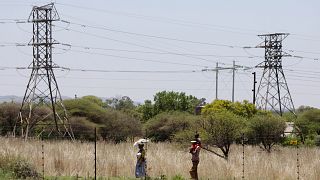 Afrique du Sud : Eskom vise les énergies propres d'ici 2040