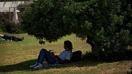 Places with shade and water sources are ideal for being recognised as climate refuges