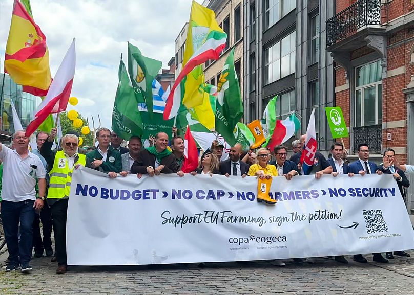 Varios agricultores acudieron a Bruselas para mostrar su descontento.