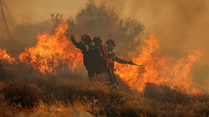 Wildfires in Europe burn area the size of Luxembourg as 2025 shapes up to be an extreme year A perfect storm of heatwaves, drought and poor forest management has burnt 232,000 hectares of European land so far this year, experts warn.