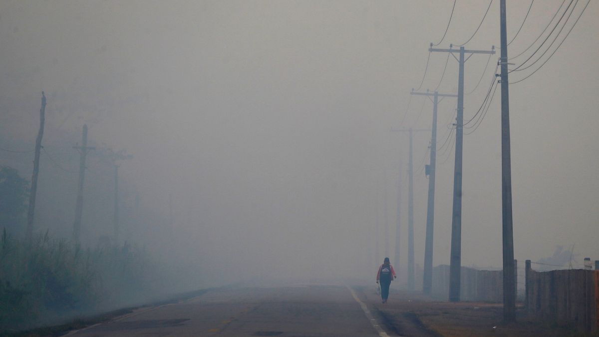Brasilien-verabschiedet-Verw-stungsgesetz-das-schlimmste-Gesetz-f-r-die-Umwelt-