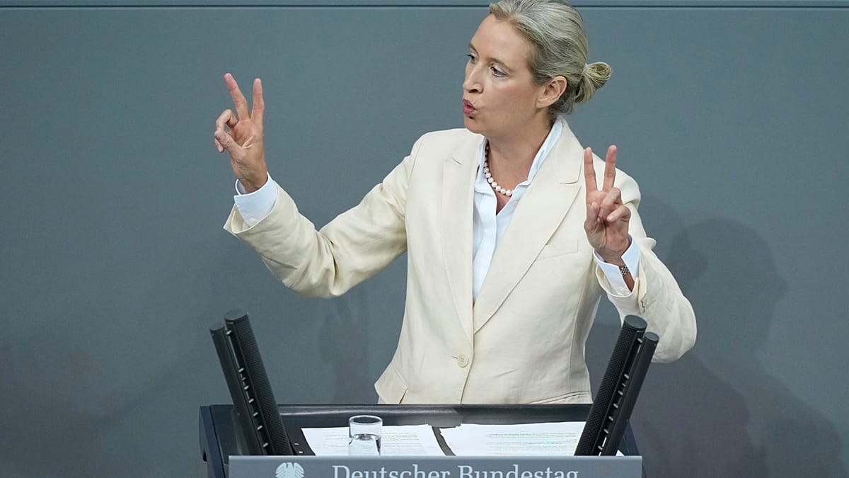 AfD rejoices: majority of Germans oppose AfD ban