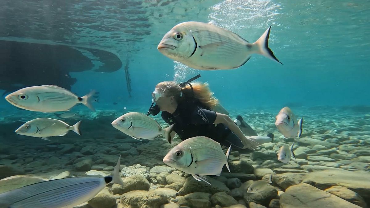 Bodrum’s Eco‑Luxury: Golf, Gulet Yoga Adventures, and Underwater Explorations
