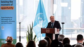 Énergies renouvelables : les Nations Unies saluent un tournant positif