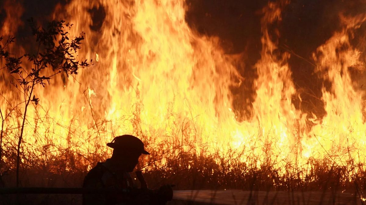 Indonesian police arrest 44 suspected of starting forest fires spreading toxic haze