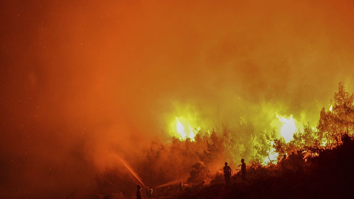Chypre : deux incendies d'ampleur ravagent les districts de Limassol et de Paphos