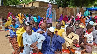 Nigeria : des millions de personnes touchées par l'insécurité alimentaire