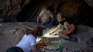 Archéologie : nouvelles traces d’hommes primitifs découvertes en Israël 