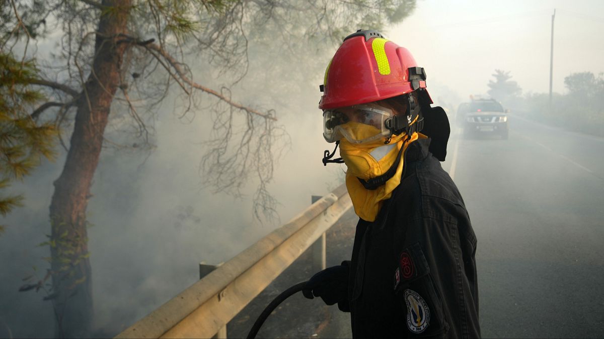 Extent of damage from Cyprus wildfires becoming clear as blazes brought under control