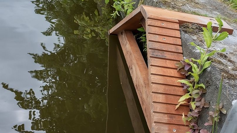 Escaleritas instaladas en los canales de Amersfoort