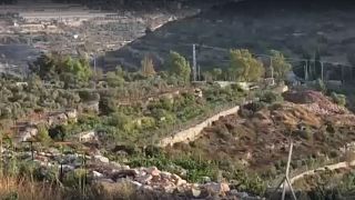 Moroccan humanitarian agency provides support for Palestinian farmers 