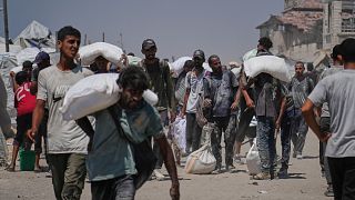 Egypt's President el-Sissi calls on Trump to assist in ending Gaza war