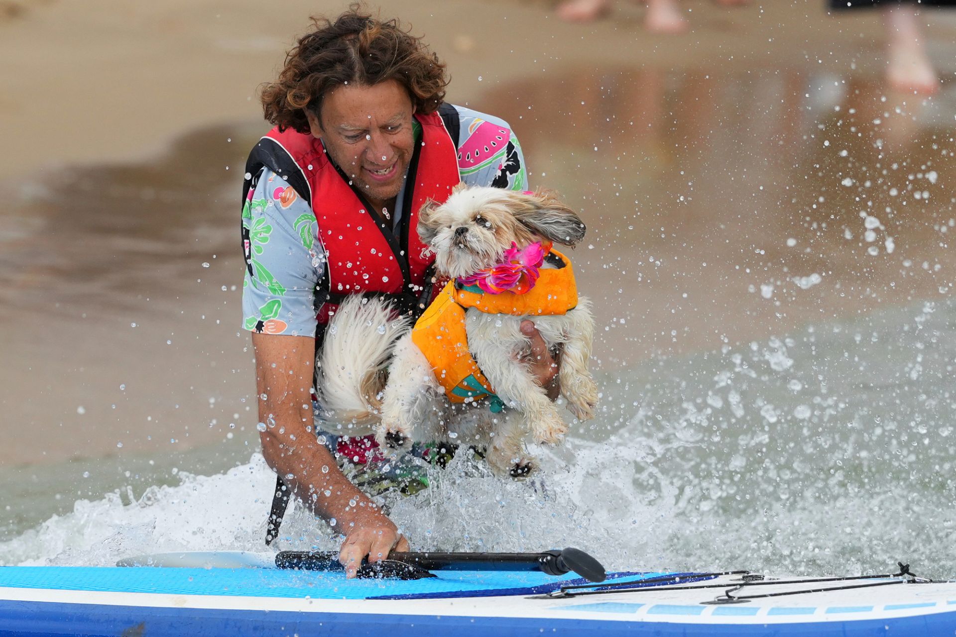 Everything is pawesome: 2025 UK Dog Surfing Championship in pictures ...