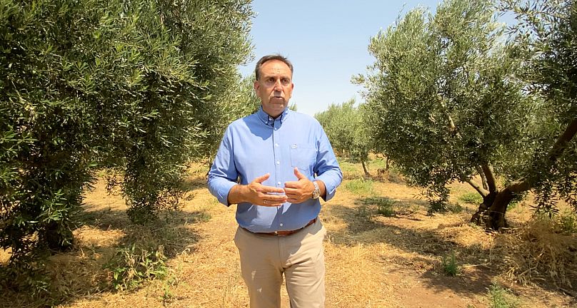 El productor de aceitunas Giannis Koufidis dice que ha tenido que invertir mucho en sistemas de riego