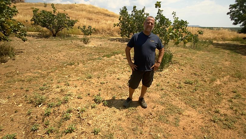 "El agua es esperanza", promulga Dimitris Evangellinos en su plantación de pistachos calcinada