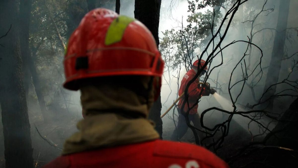 More than 1,000 firefighters battle three major blazes in Portugal